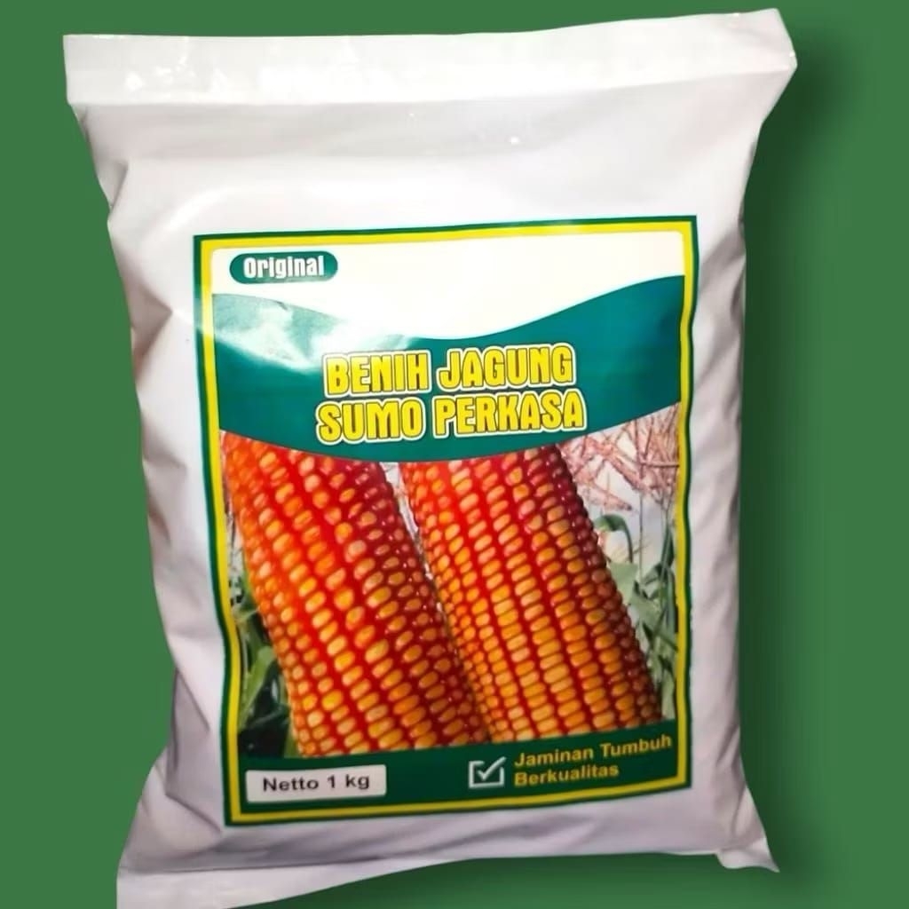 Benih Jagung Sumo Perkasa