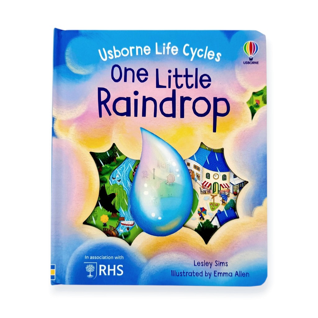 ORIGINAL Usborne Life Cycles - One Little Raindrop - Leon Books