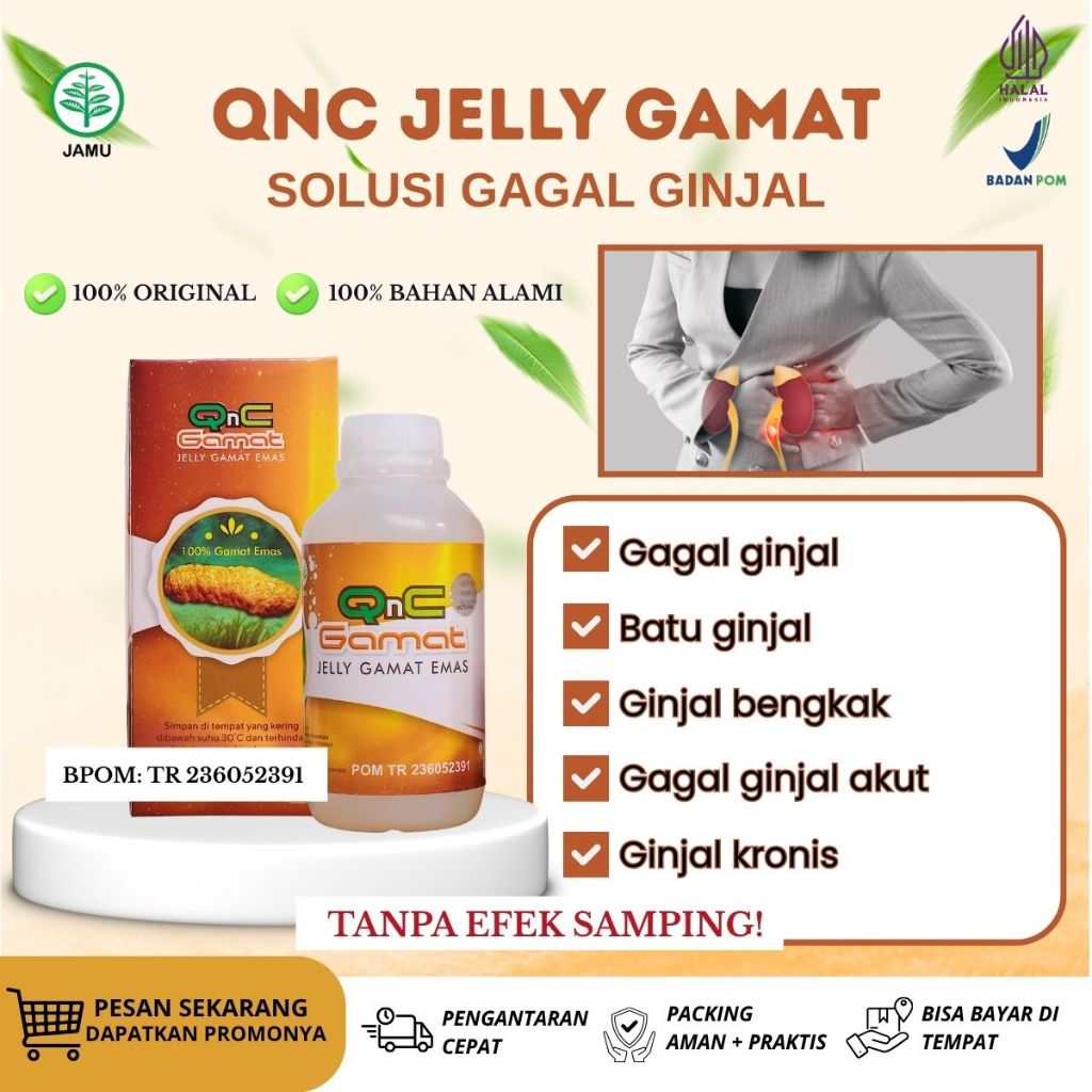 Obat Gagal Ginjal, Meredakan Gejala Gagal Ginjal Akut, Ginjal Terasa Bengkak, Cedera Pada Ginjal, Ga