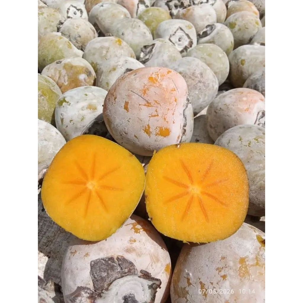 buah kesemek lokal 1kg