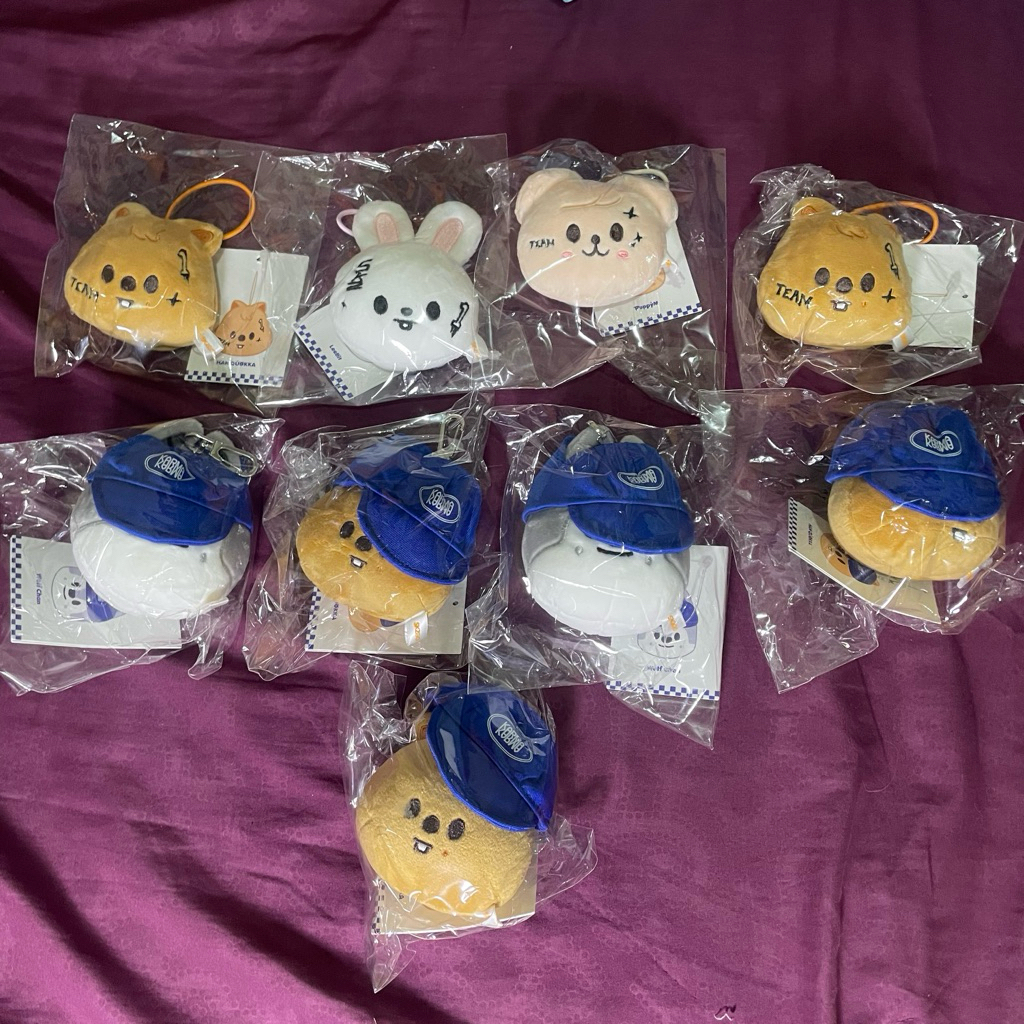 [ OFFICIAL ] SKZOO NAME TAG BALL CAP NAMETAG BALLCAP PLUSH WOLFCHAN HANQUOKKA PUPPYM LEEBIT STRAY KI