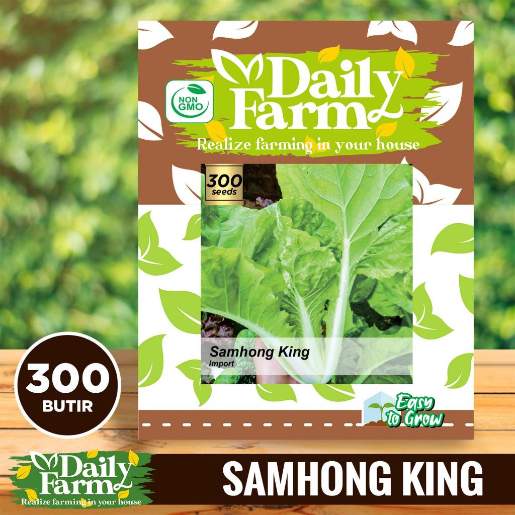 DF - BENIH BIBIT SAWI SAMHONG KING - SAWI KERITING