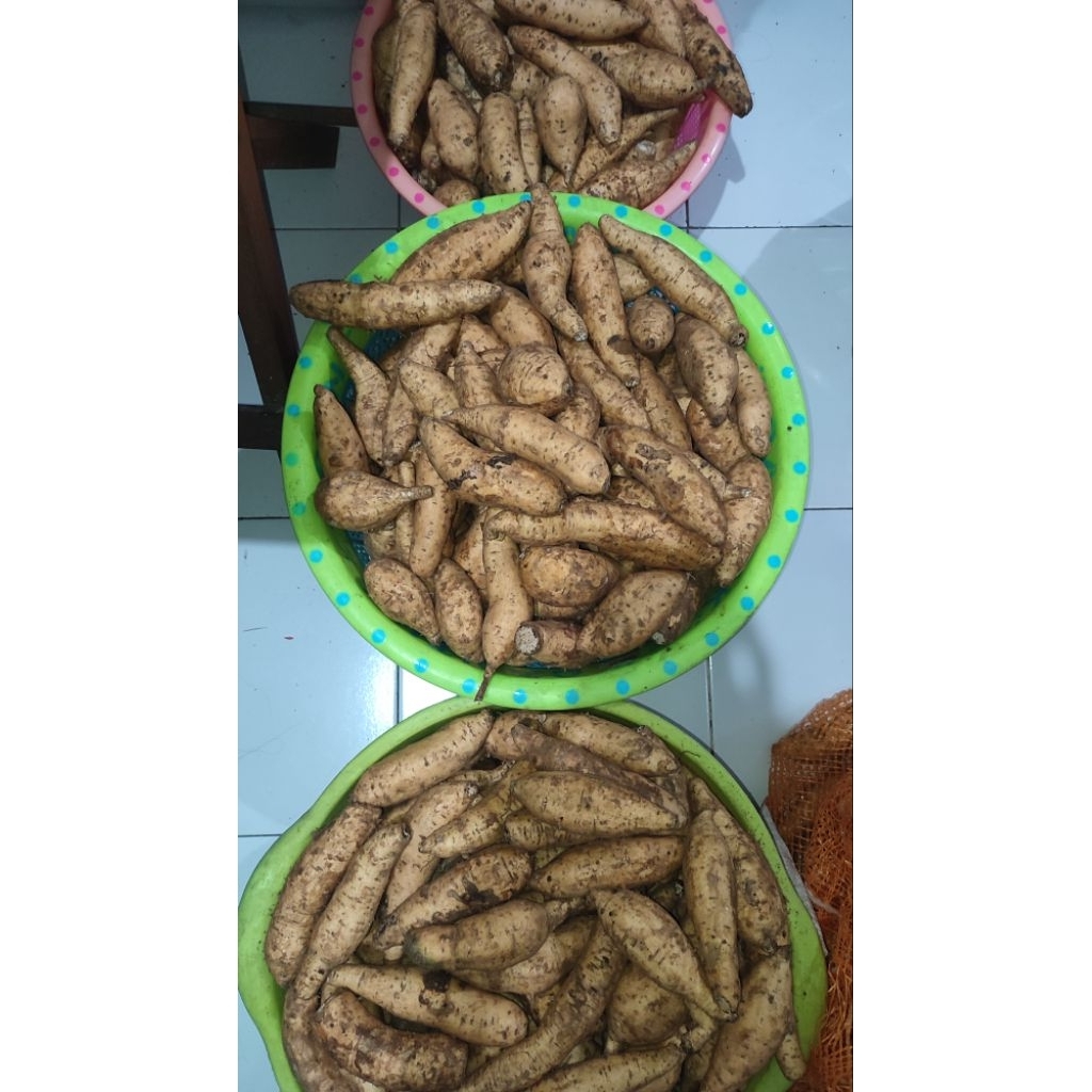 Ubi cilembu mentah 1 kg