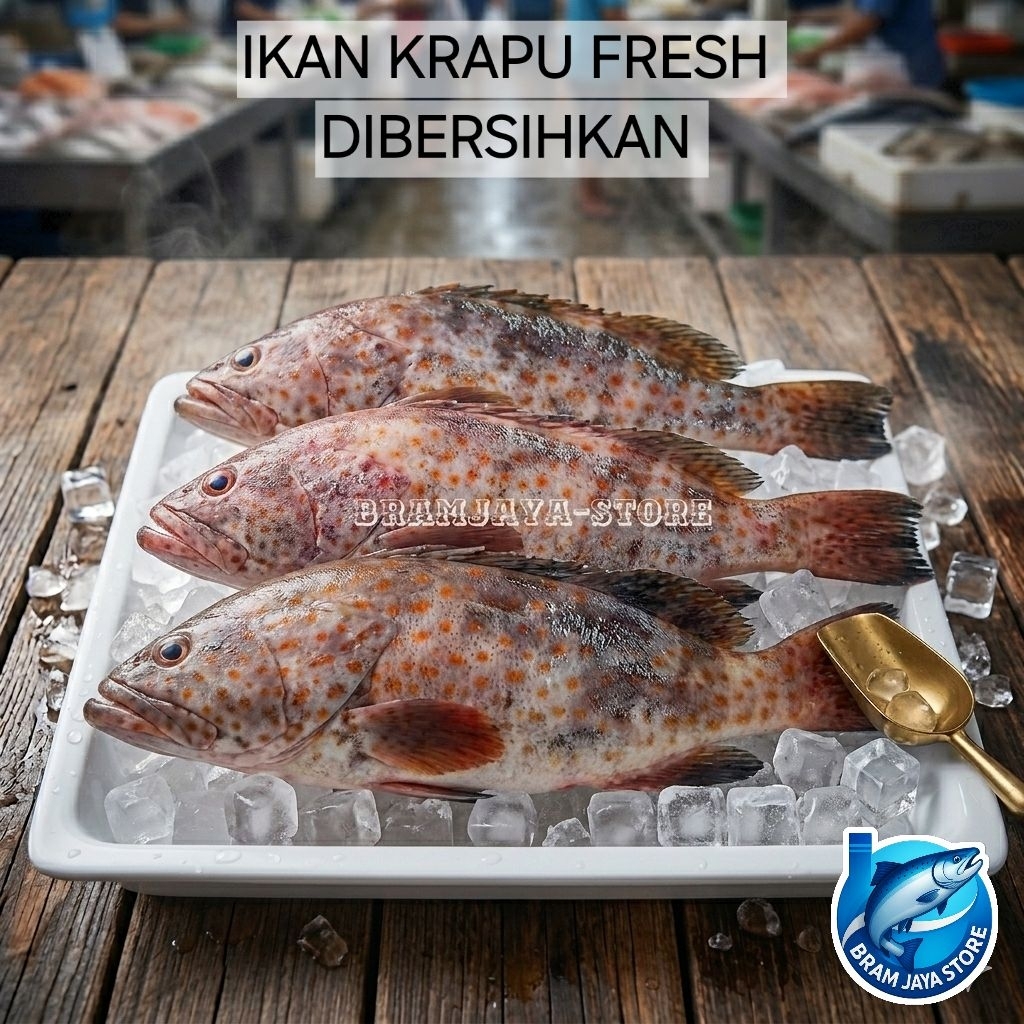 ikan krapu, ikan goropa, fresh dibersihkan