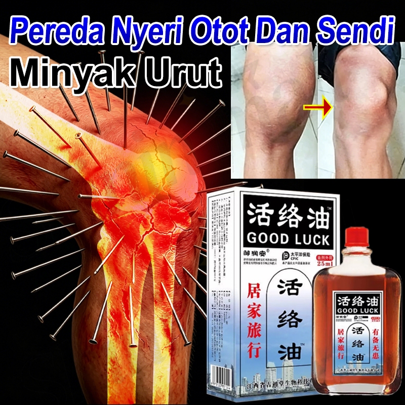Minyak Gosok China Pereda Nyeri Otot Dan Sendi Minyak Urut Sakit Pinggang Nyeri Lutut Dan Sendi Nyer