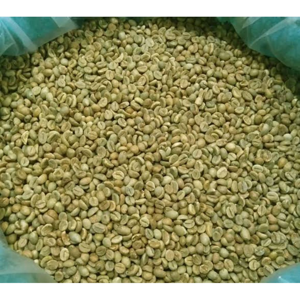 biji kopi Arabika/robusta mantap