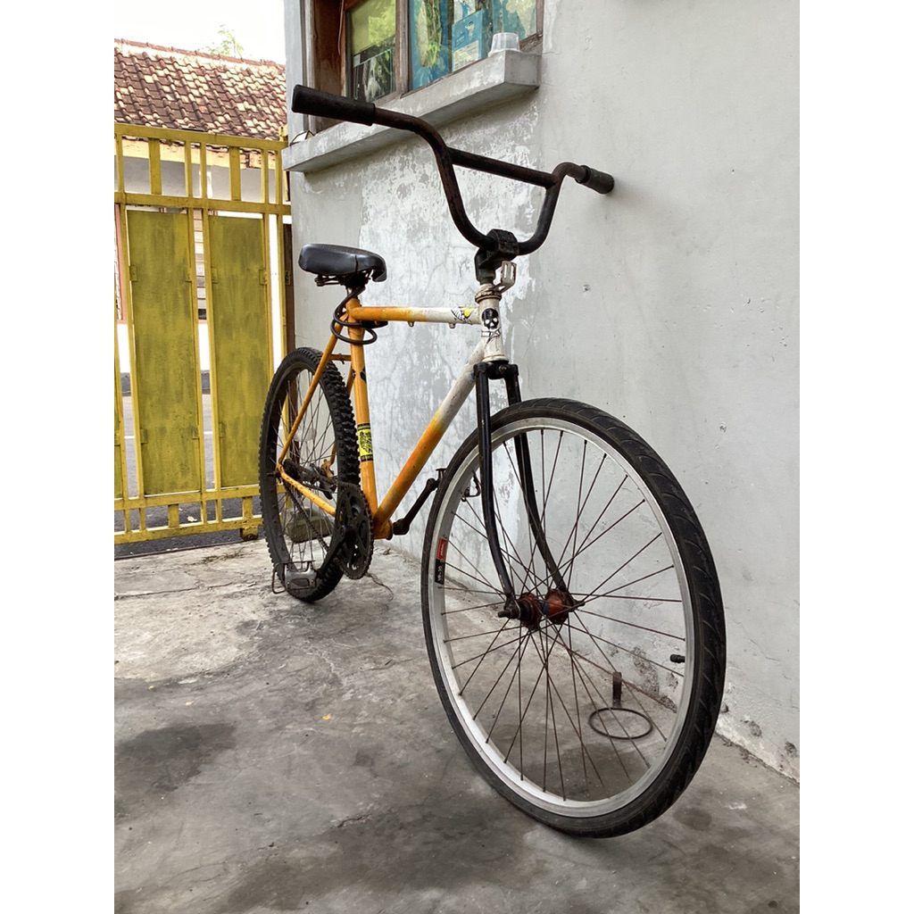 custom bike fixie