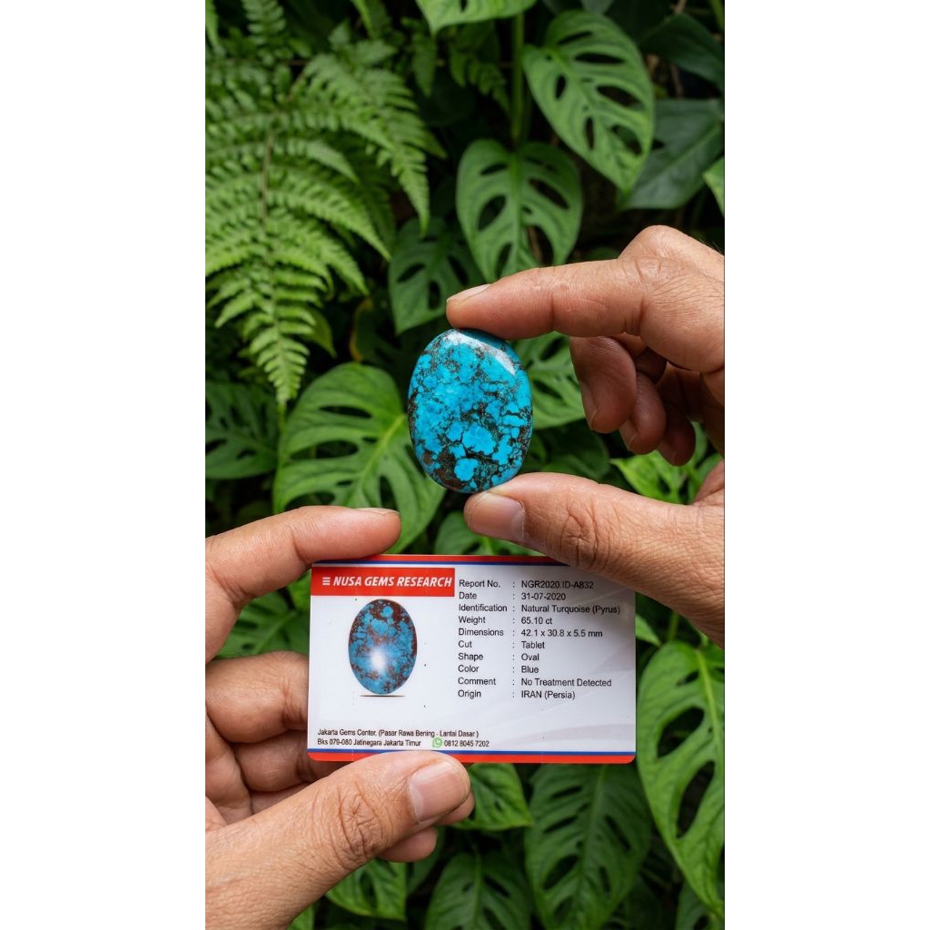 Batu natural pirus persia jumbo