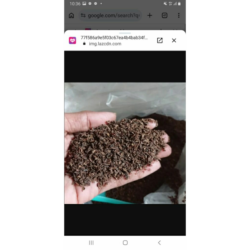Bumbu Cengkeh Rajang Manado