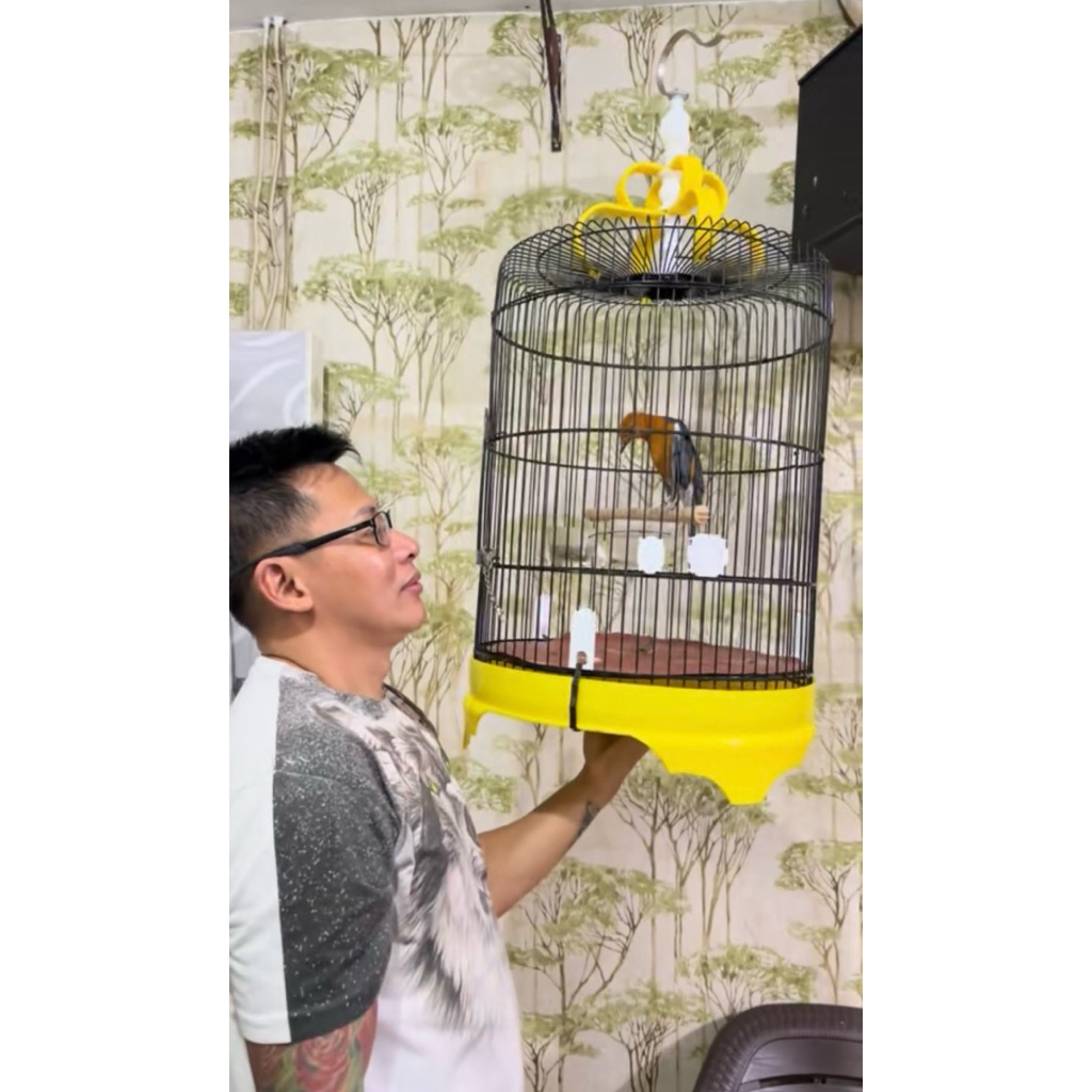 Burung Anis Merah Anti Badai , Anti Macet Bunyi