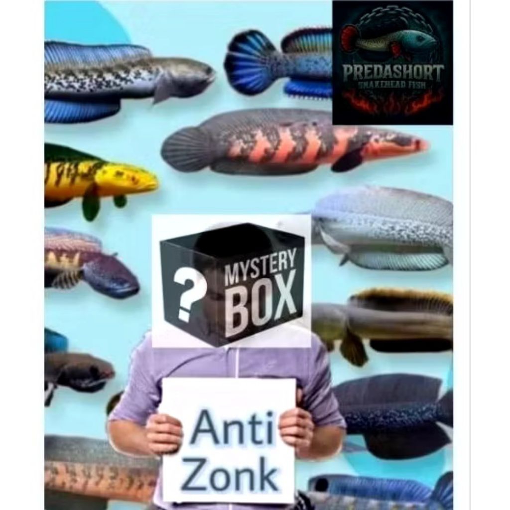 (CHANNA) Mistery Box Anti Zonk Garansi Full Se Indonesia Raya