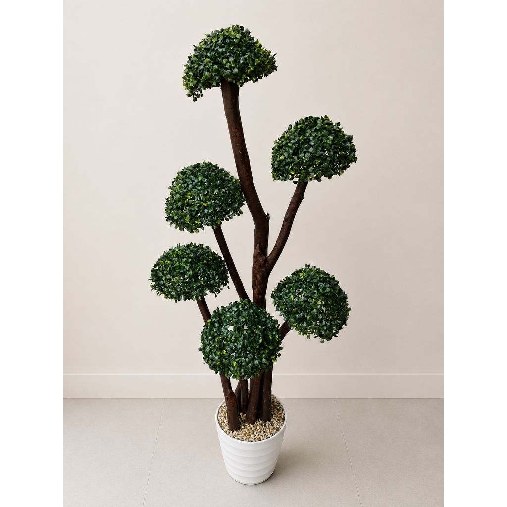 Pohon Bola Bonsai Rumput Besar
