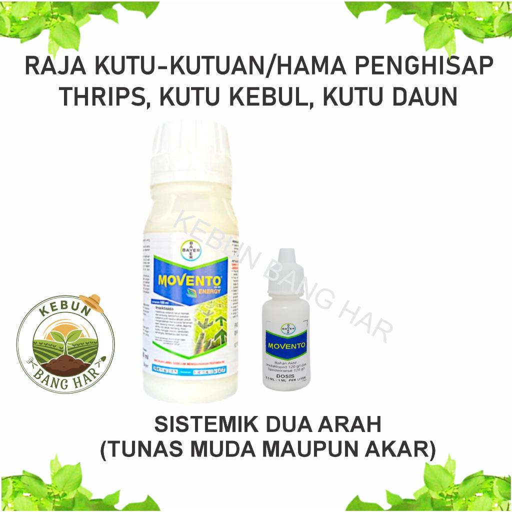 REPACK MOVENTO si Raja Kutu-kutuan, Thrips, Kutu Kebul
