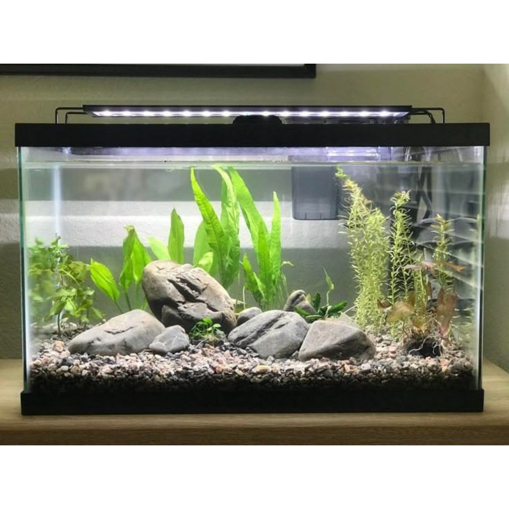 Aquarium Mini Full Set