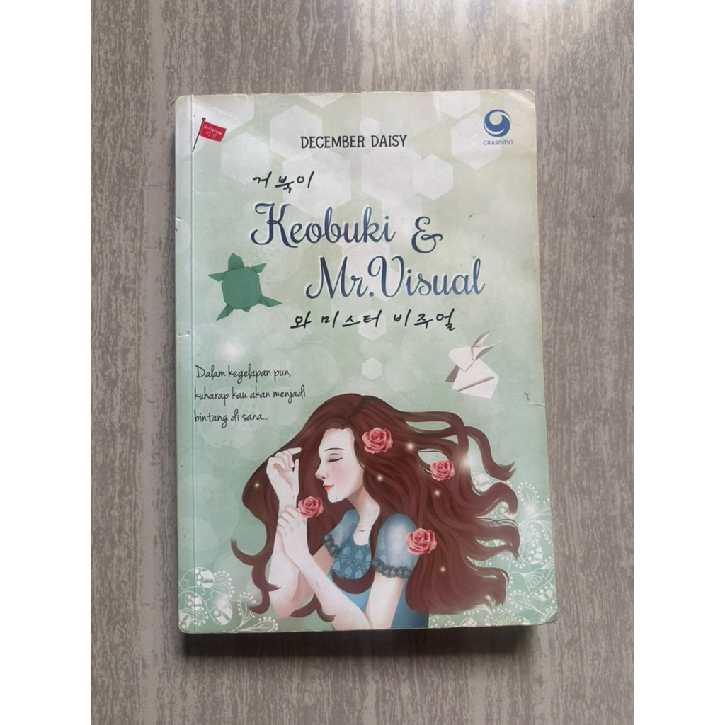 Preloved Buku Novel: Keobuki and Mr. Visual