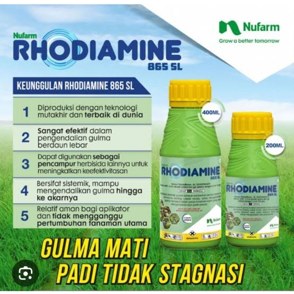 rhodiamine