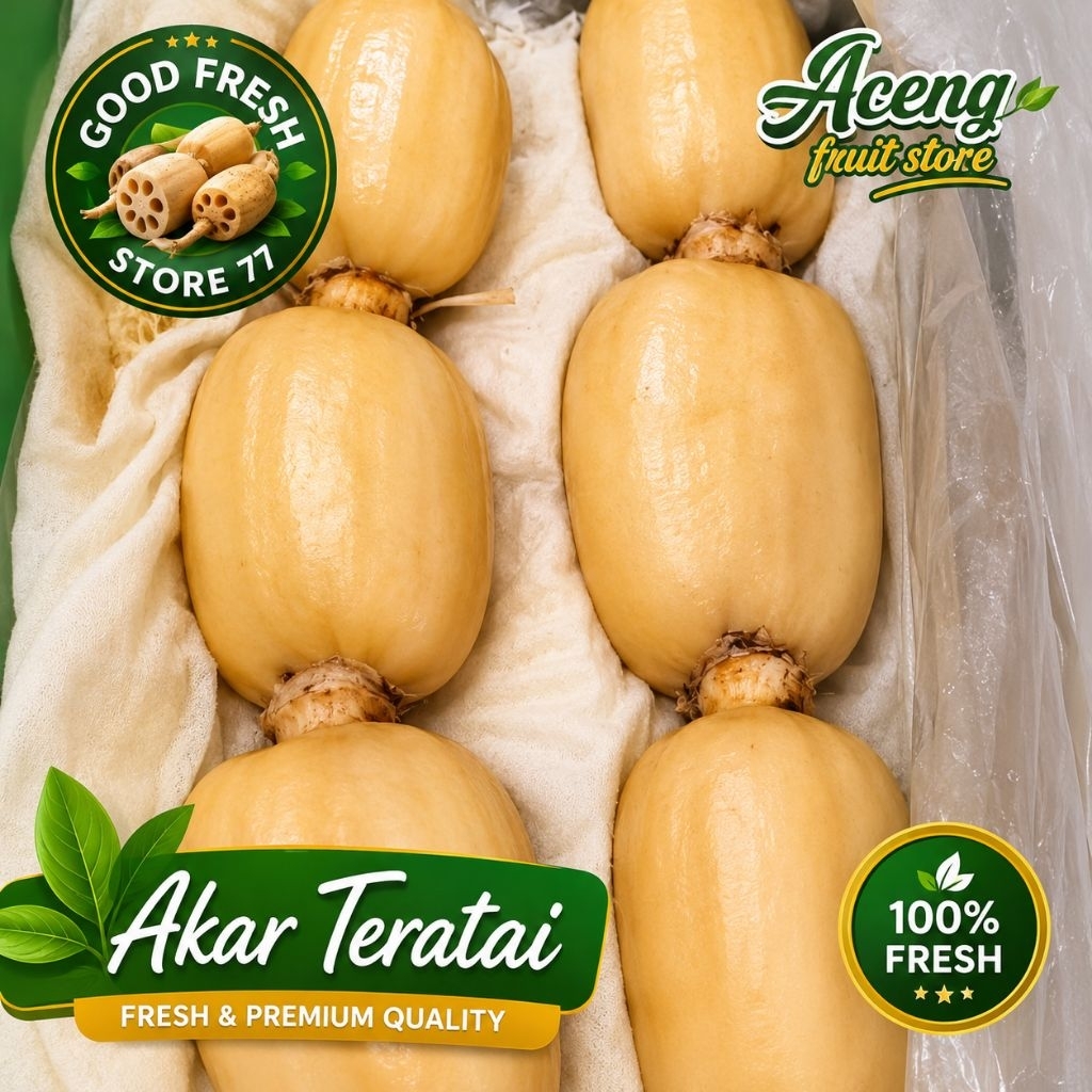 akar teratai lotus root akar teratai fresh & premium 500 gram
