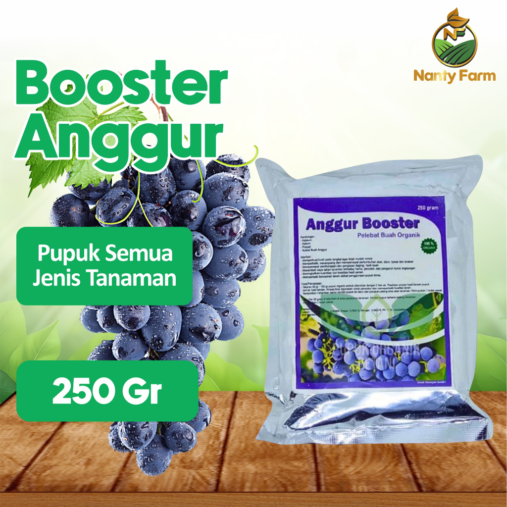 Pupuk Booster Anggur Pelebat Buah Anggur- Pupuk Anggur