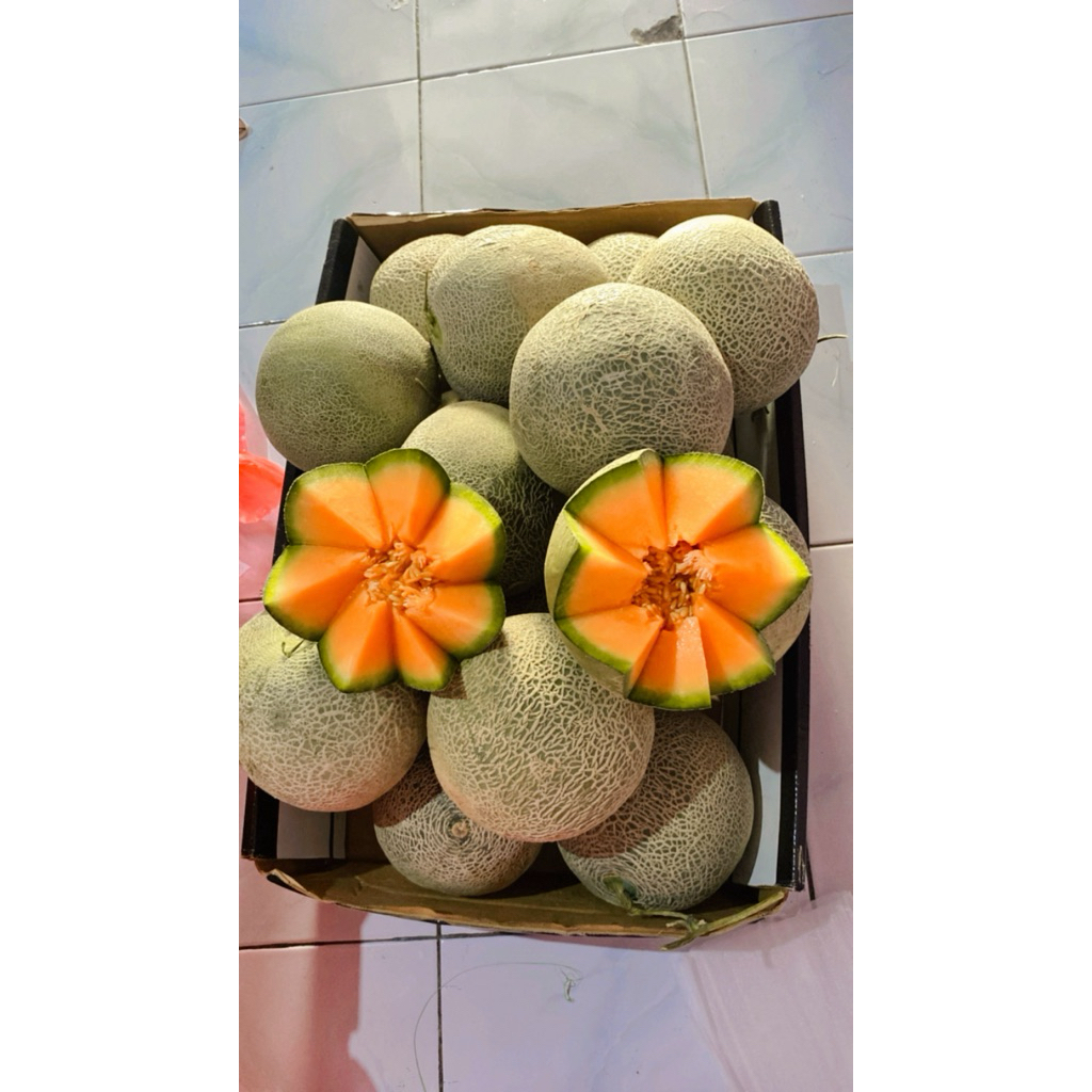 melon sakata