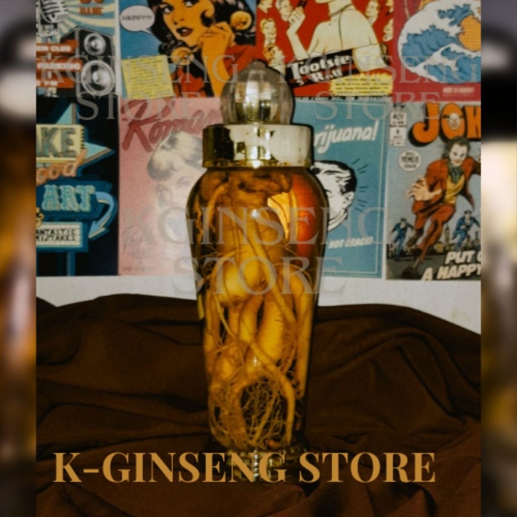 BUY 1 GET 1 FREE | KOREAN GINSENG BESAR UKURAN 2,4 LITER DALAM BOTOL KACA | GINSENG AKAR BESAR KOREA