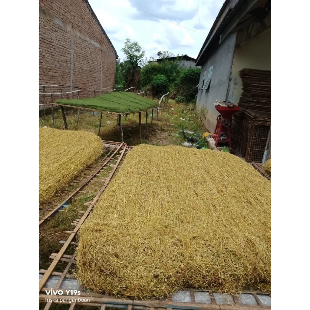 mbako batu karang/mbako gersing/suntil/sukkil 1 kg
