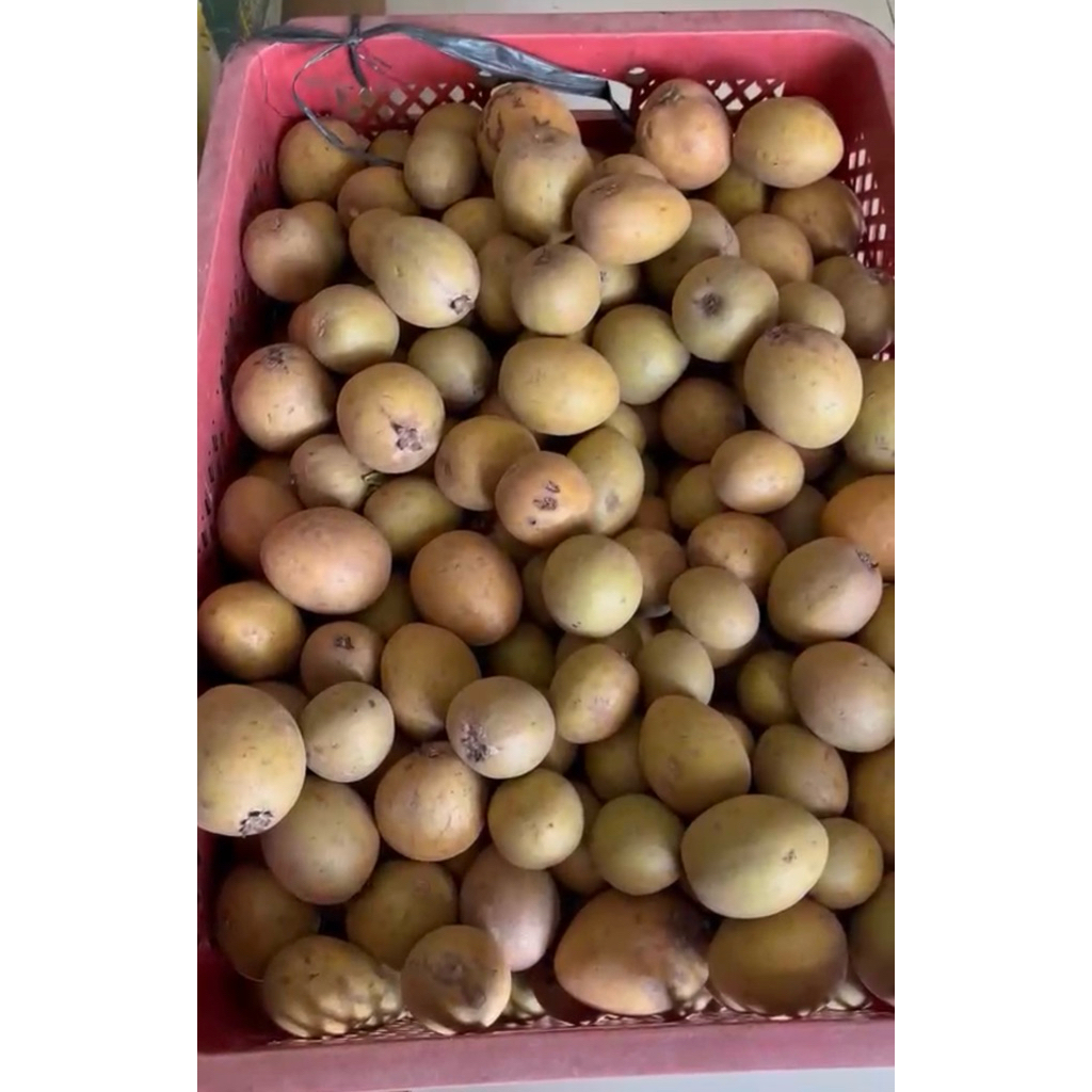 Sawo 1kg