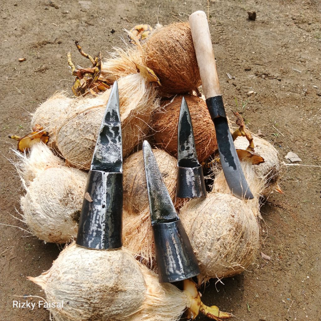 Sulak Pengupas Kelapa Tua ( Satu Paket Pencukil Kelapa ) Kupas Kelapa Alat Pengupas Kelapa Salumbat 