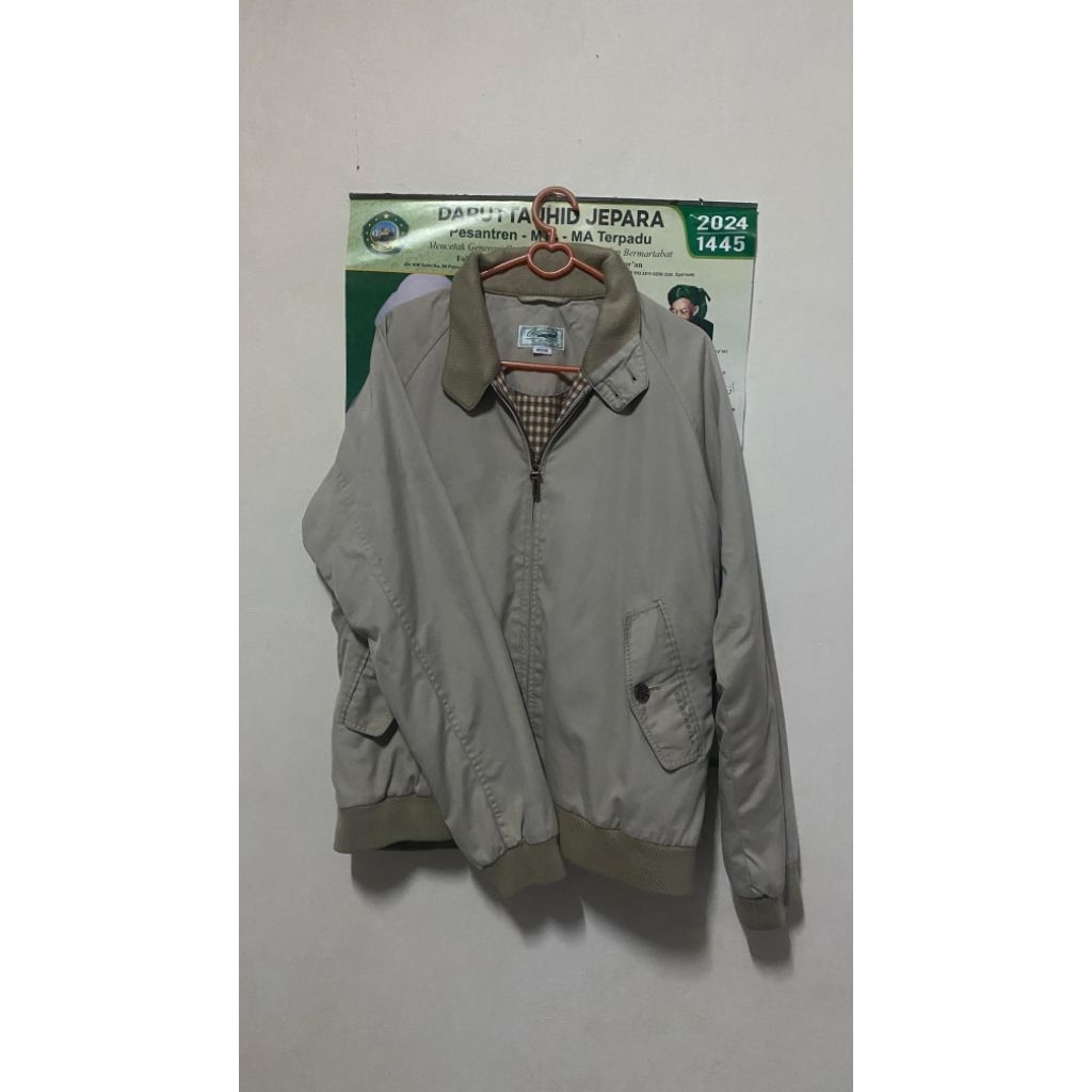 harrington crocodile
