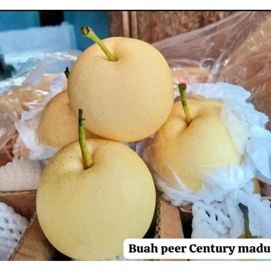 (kediri Gampengrejo)Buah pir CENTURY 1,3KG & ANEKA BUAH LAINYA