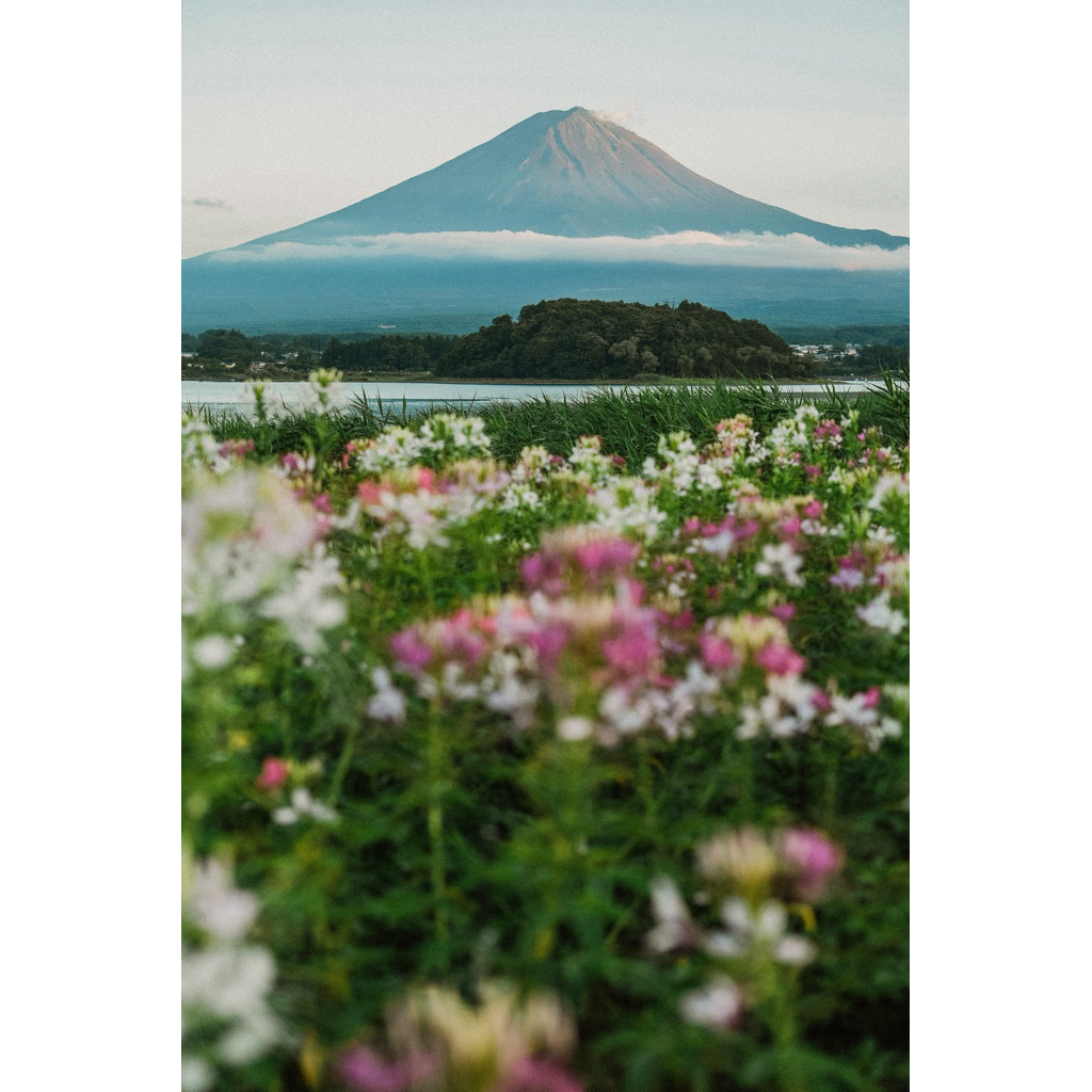 jastip jepang