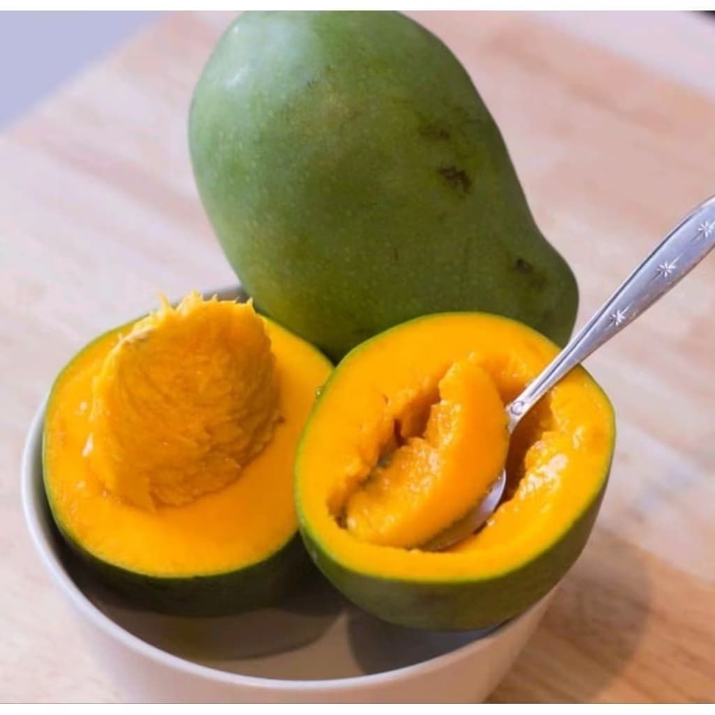 Mangga Alpukat 1,3kg