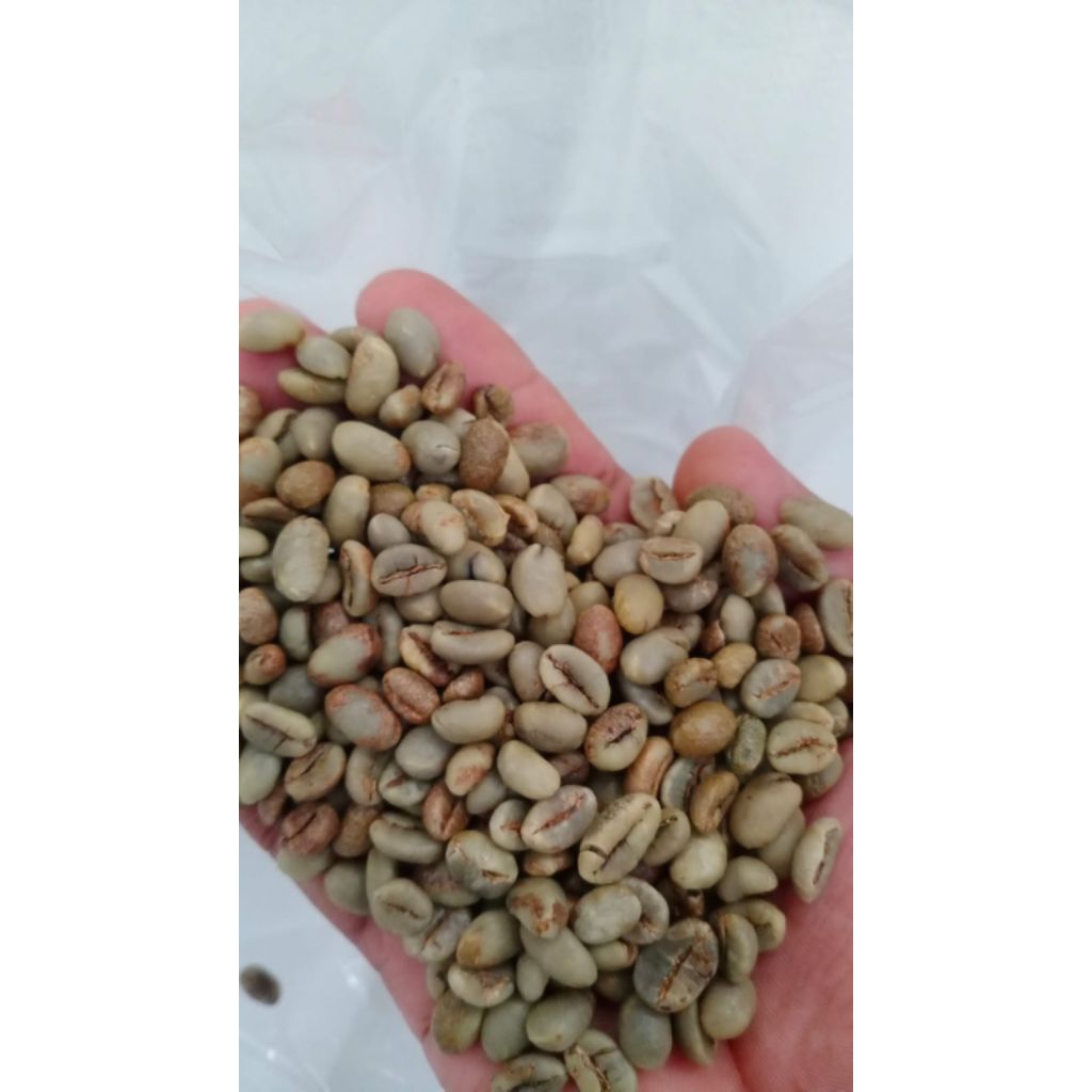 Green bean robusta argopuro
