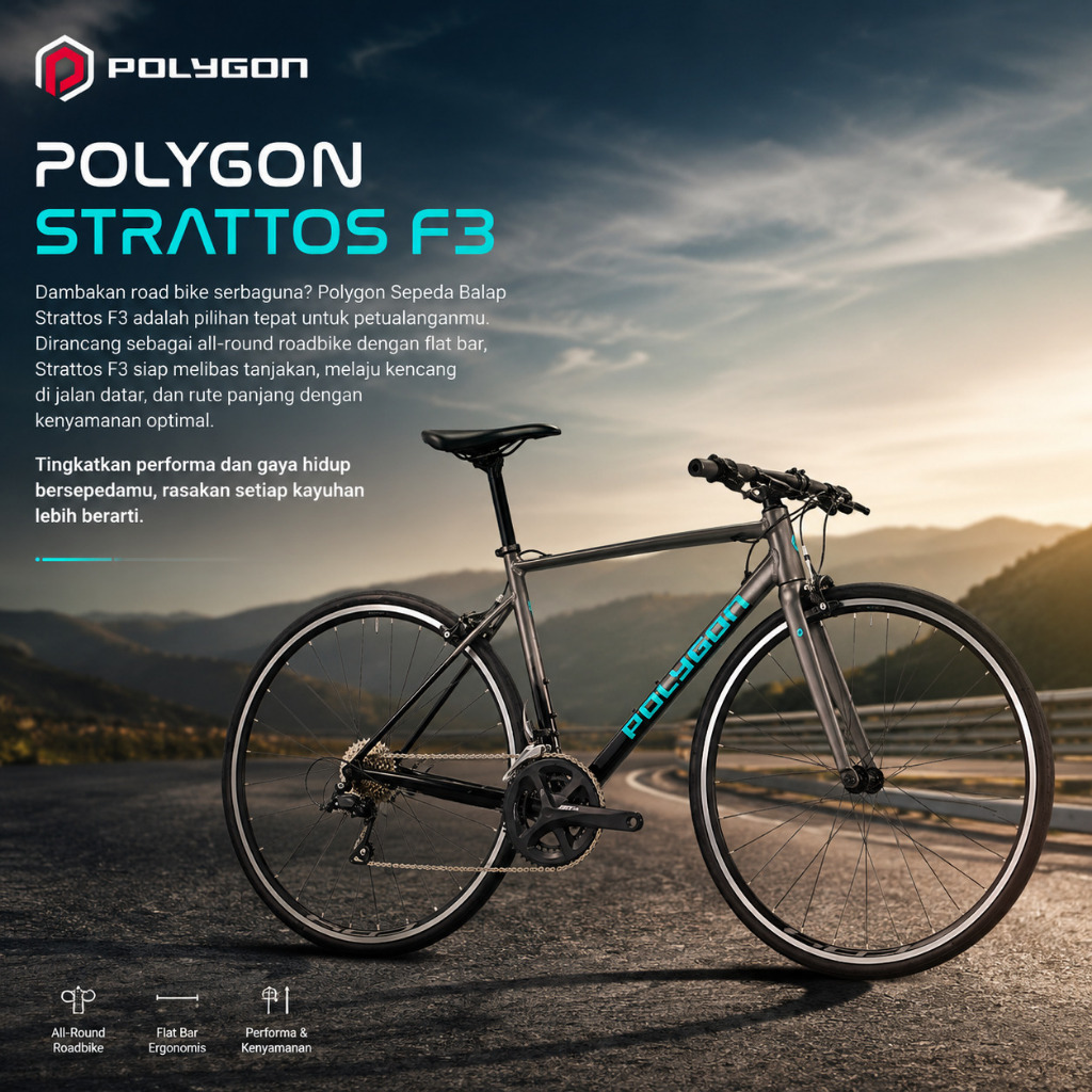 Sepeda Balap Hybrid Polygon Strattos F3 Charcoal 2027 Carbon Fork 2 x 9 Speed
