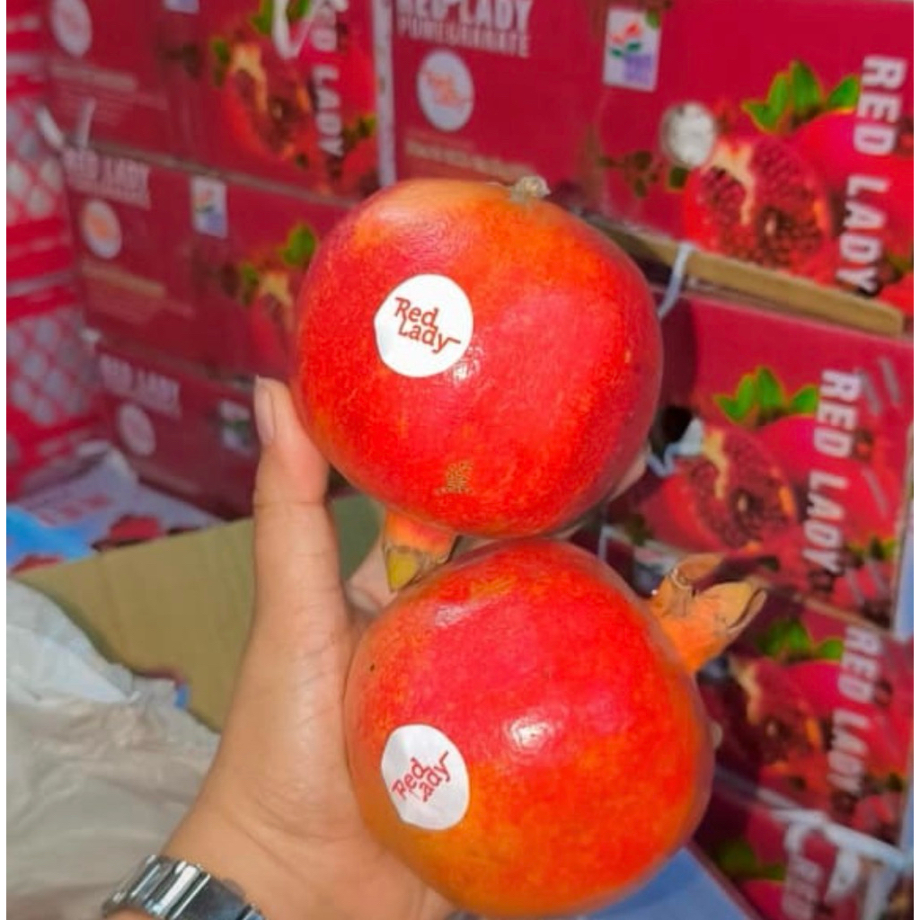 Buah delima segar 1 buah