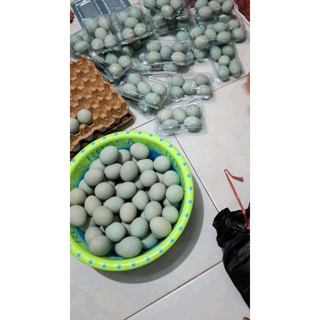 Telur mentah /telur Asin Masir - Gurih, Lembut, Cemilan Sehat