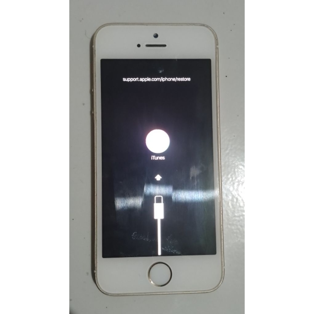 iPhone 5s