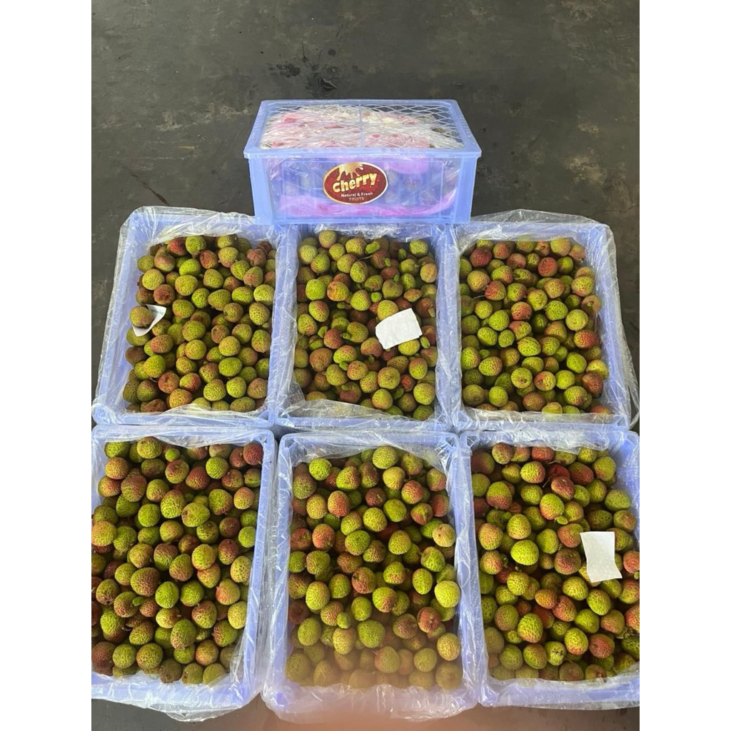 Leci Madu Hijau Manis Segar 1kg