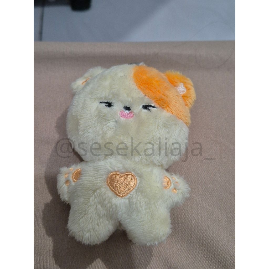 Doll Jisung Fanmade (Bamji) Preloved
