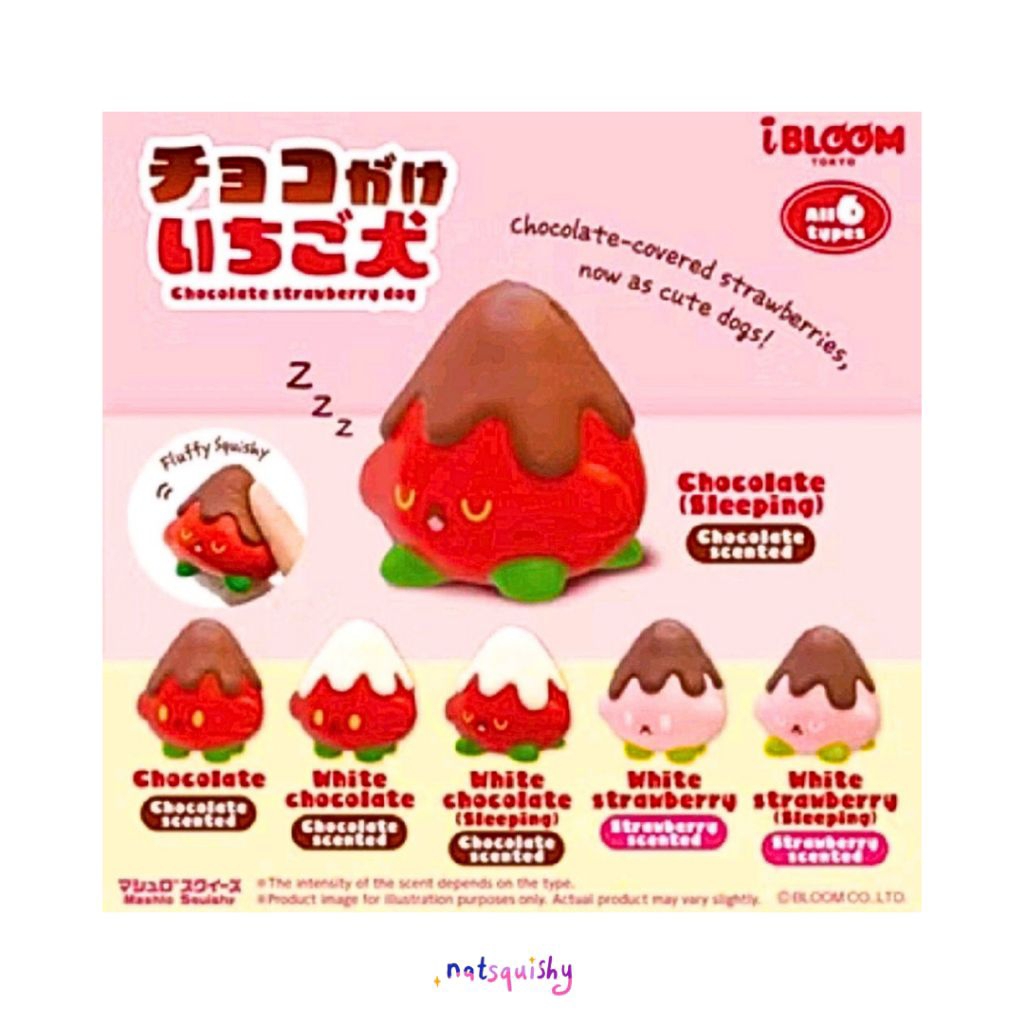 Natsquishy - Squishy Ibloom Gatcha Strawberry Chocolate