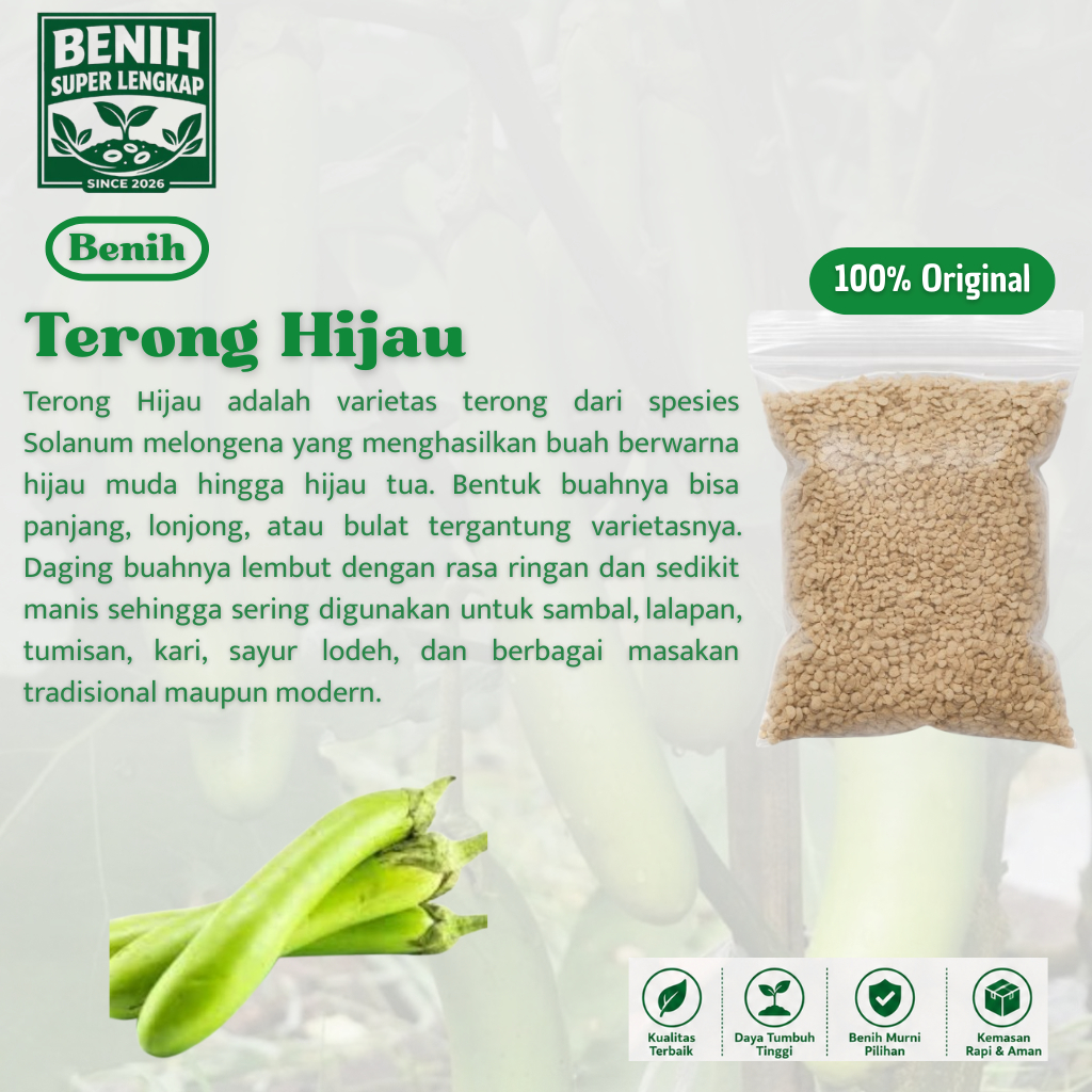 ( 1 Butir ) Benih Biji Terong Hijau | Terong Hijau Panjang