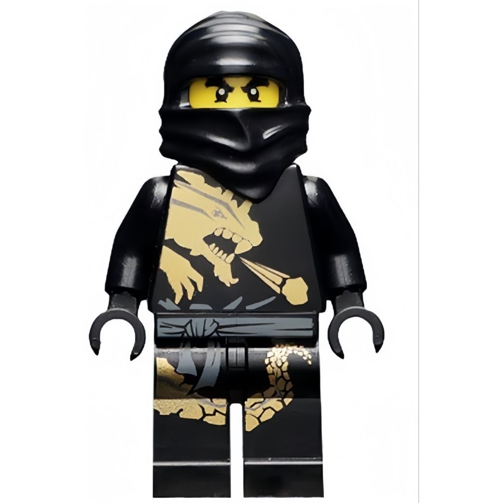 lego ninjago Cole DX