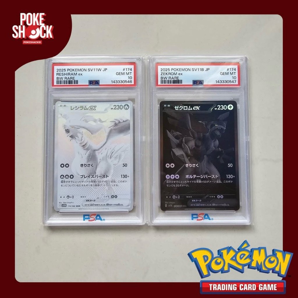 POKESHACK | Pokemon TCG RESHIRAM + ZEKROM BWR (SEQUENCE)