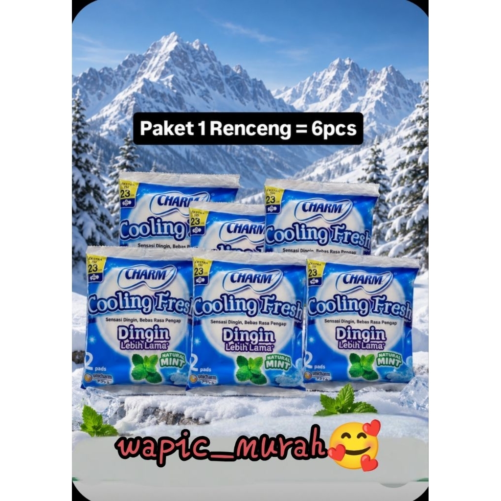 12pcs-24pc Charm cooling fresh 23cm (1renceng=6shacet isi 12pad)