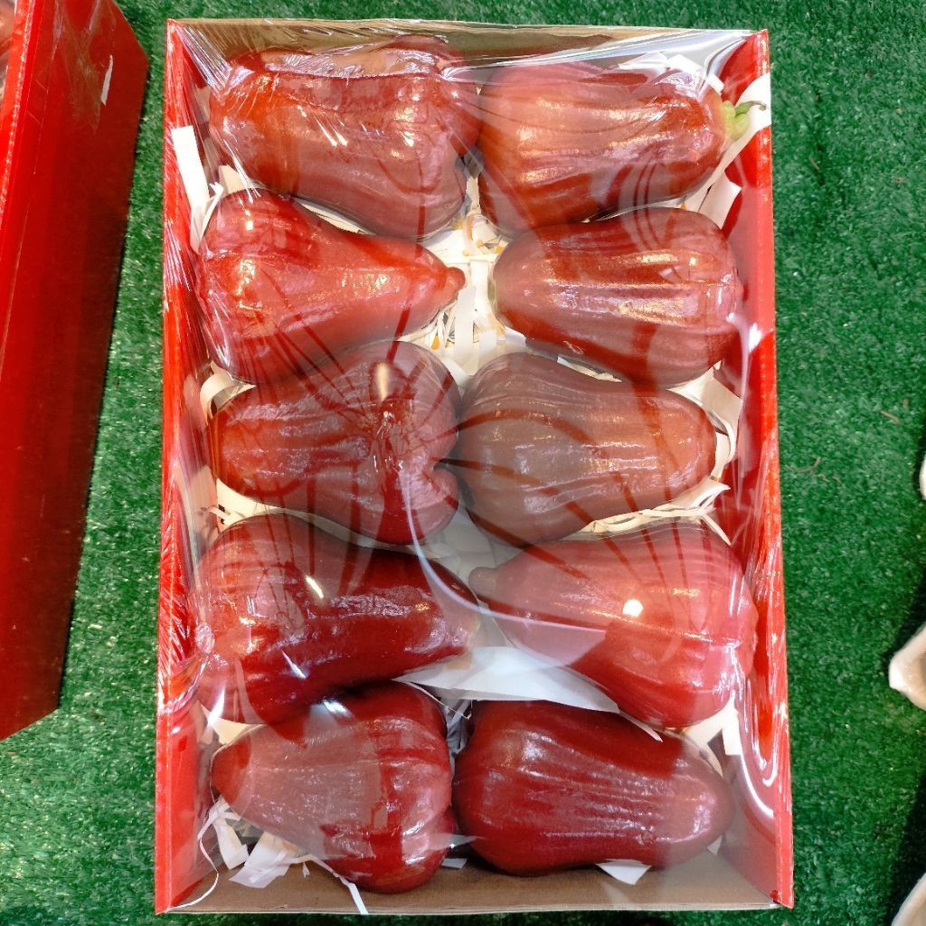 Jambu Air Madu Merah Premium Fresh – Manis, Renyah & Segar Pilihan Terbaik
