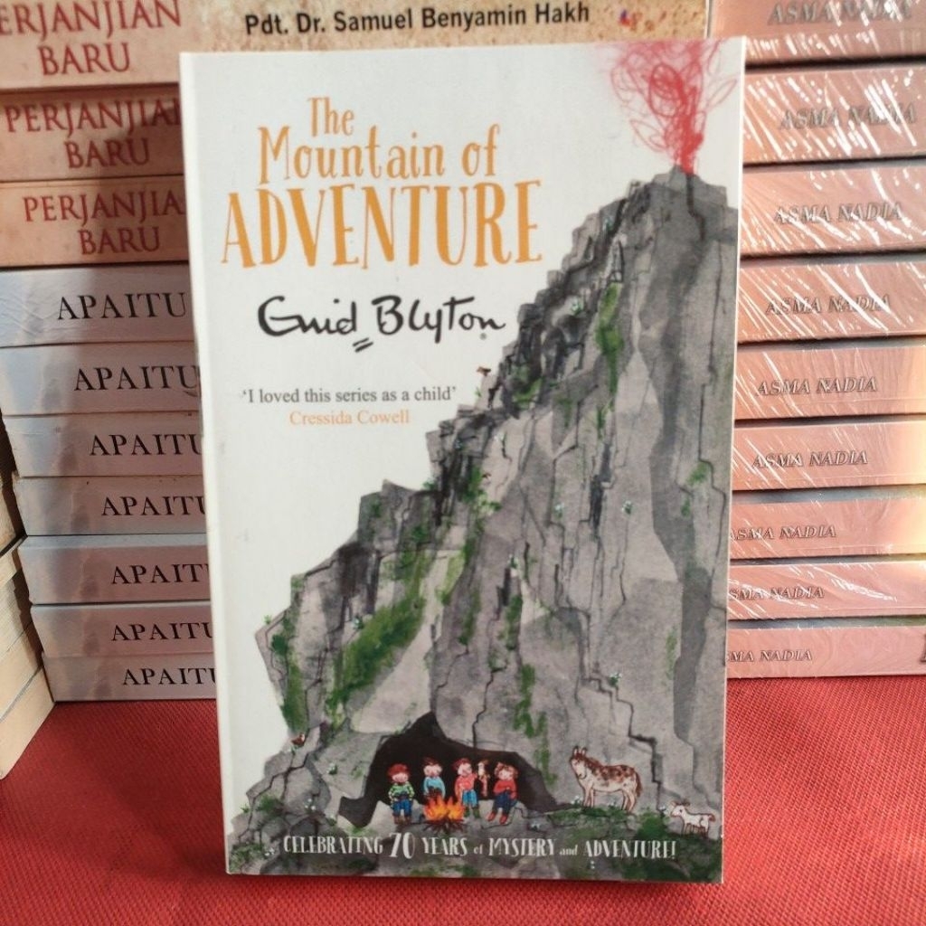 Novel original Enid Blyton The Mountain Of Adventure