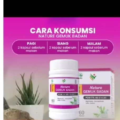 nature penggemuk badan