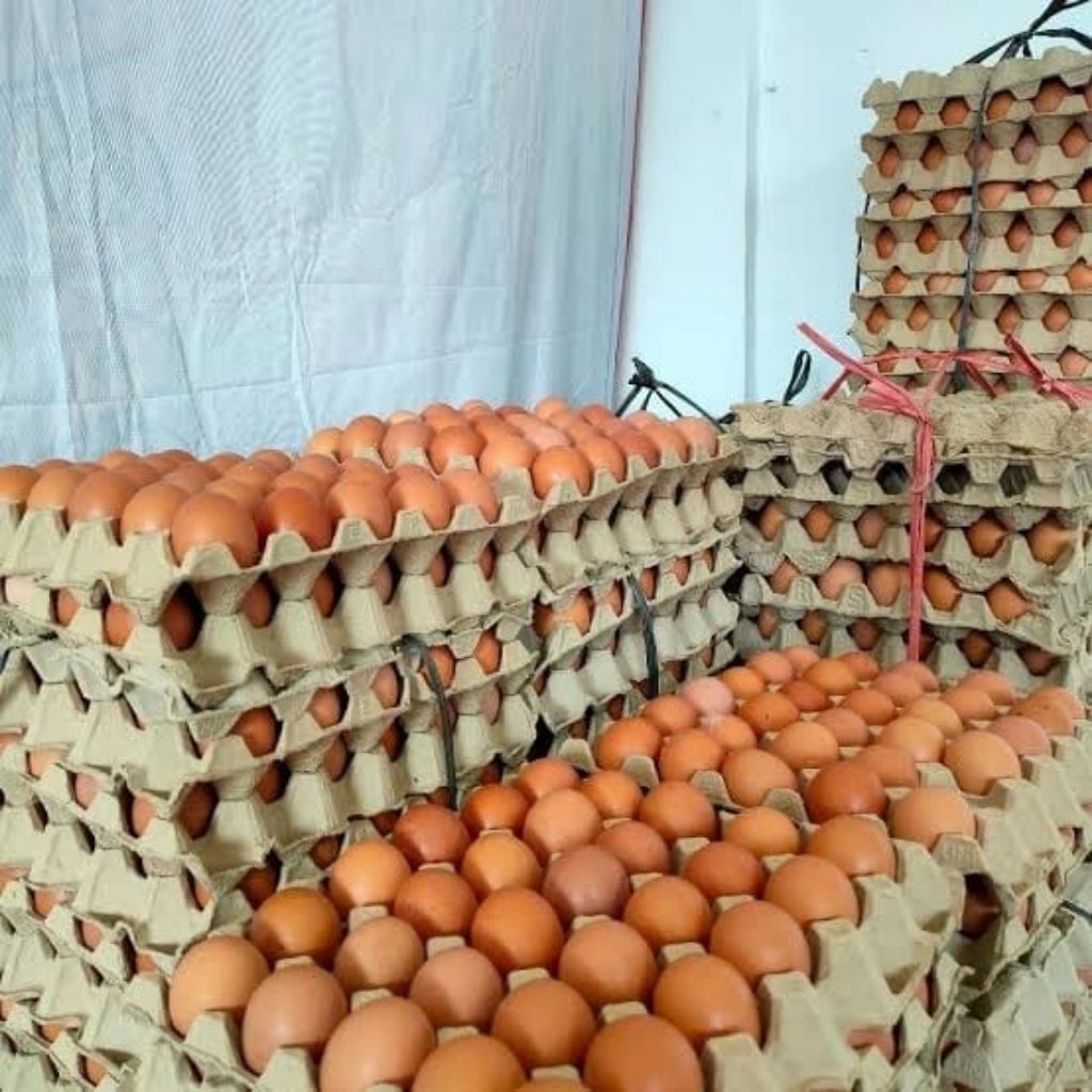 telor ayam 1 kg Bandung khusus pengiriman INSTAN