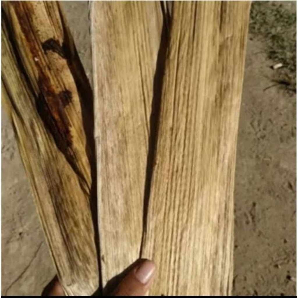 gedebog /pelepah pisang kering/bahan kerajinan anak /gedebog pisang kering