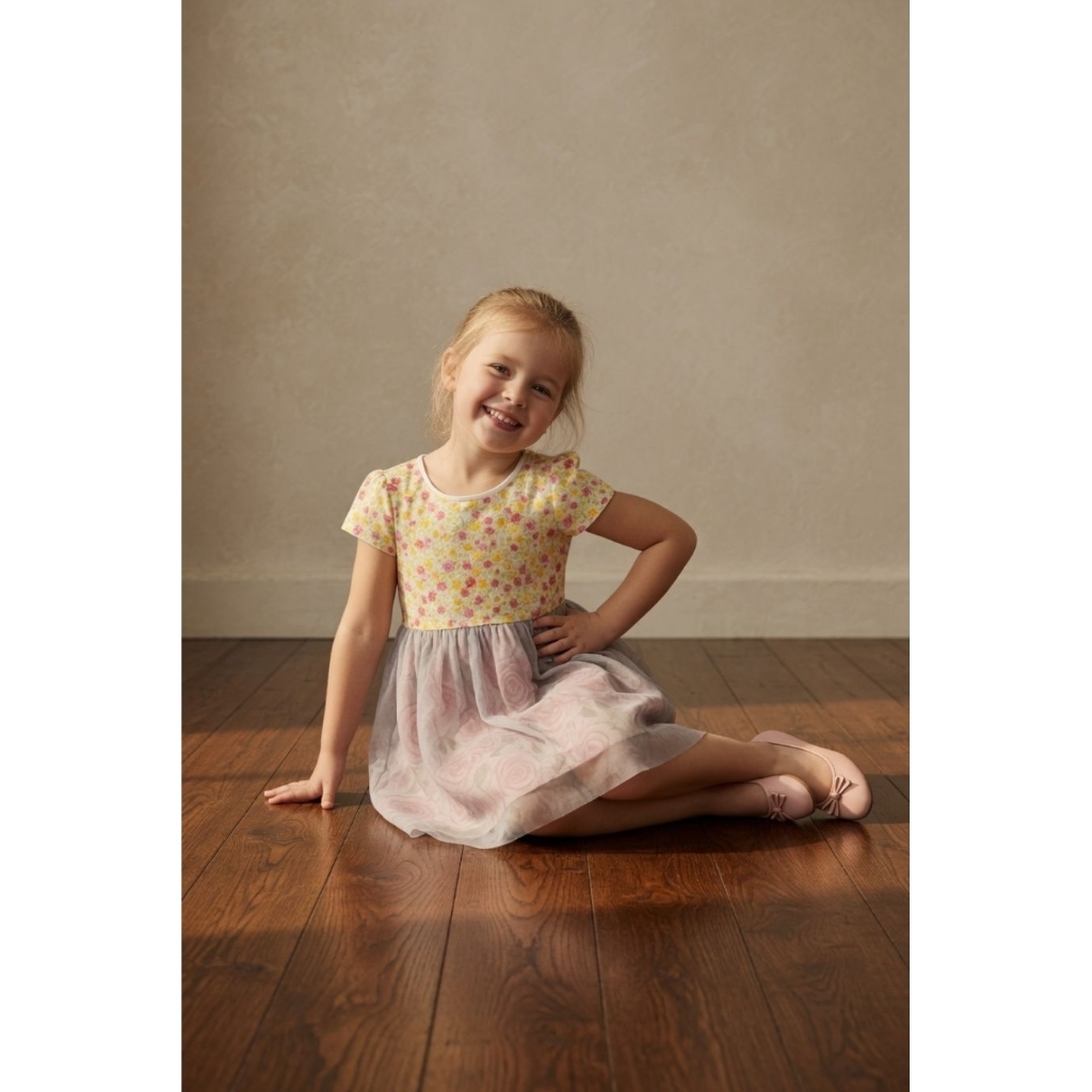 DRESS ANAK PEREMPUAN WIGGLES