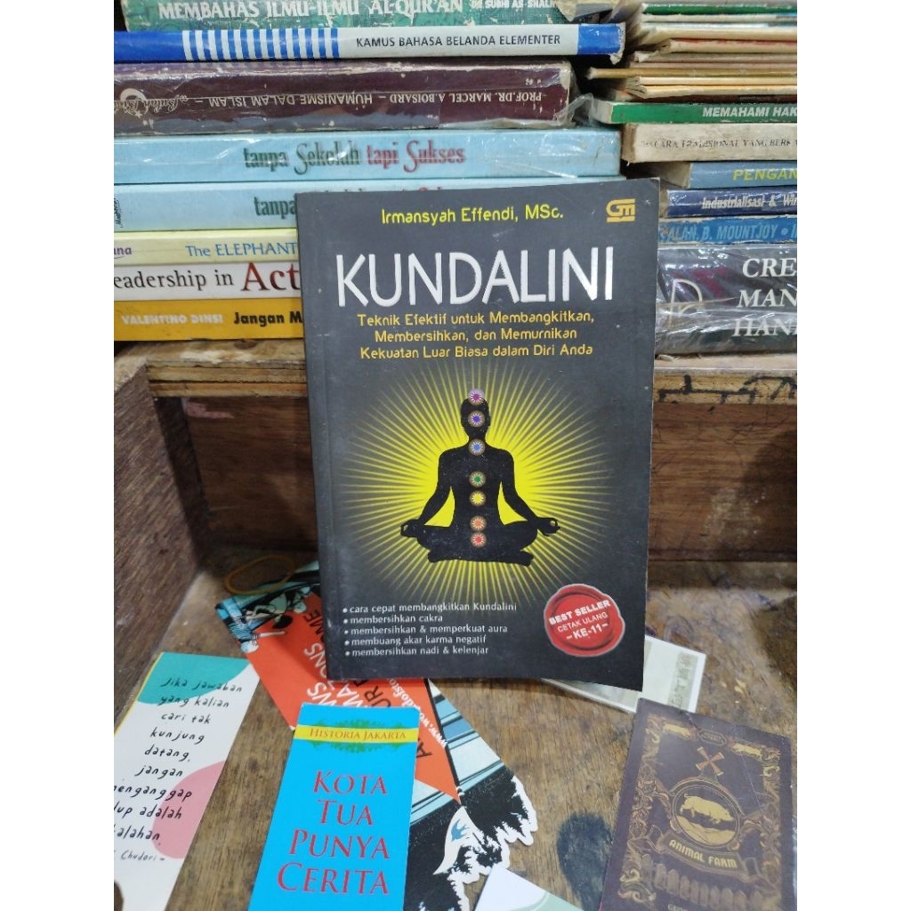Kundalini - Irmansyah Effendi, MSc.